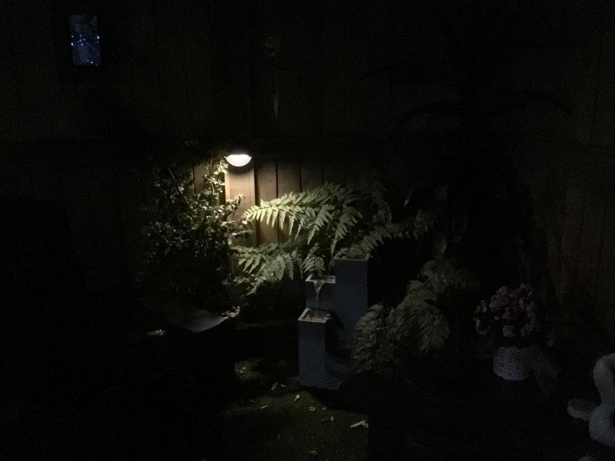 Tranquil Garden Studio Tauranga Dış mekan fotoğraf